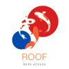Roof Cleaner Solutions logo - Similar company to Super Easy Storage