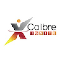 xCalibre Ignite logo - Similar company to Xcalibre Communications