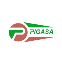 Pigasa logo - Similar company to Alkesta, Uab