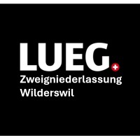 LUEG AG Zweigniederlassung Wilderswil logo - Similar company to D.S.Germaz