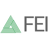 FEI Solution logo - Similar company to Saasppl