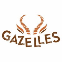 BNI Gazelles logo - Similar company to Bni Spark