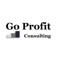 GoProfit Consulting logo - Similar company to Phygital Lab