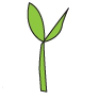 indiyoung.com logo - Similar company to Thought Collaborative Pty Ltd