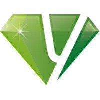 Yong BV logo - Similar company to MvR & Partners