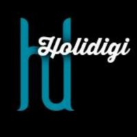 Holidigi logo - Similar company to Premier Security Group (Utah)
