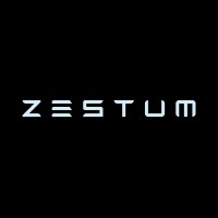 ZESTUM logo - Similar company to Learnbattle