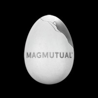 MagMutual logo - Similar company to Medpro Group