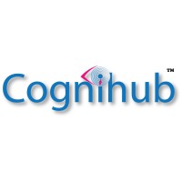cognihub logo - Similar company to Cognihub