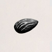 Film Seeds logo - Similar company to Avak