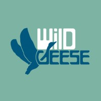 Wild Geese logo - Similar company to Vibrance World