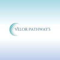 Velor Pathway's logo - Similar company to Joinin