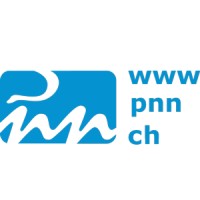 pnn pharma nation network ag logo - Similar company to Dualstack Ag