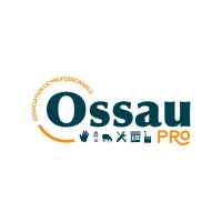 Ossau Pro logo - Similar company to Technic Access
