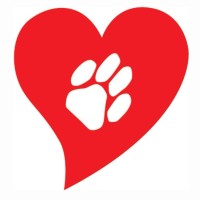 Touched By An Animal / Cats Are Purrsons Too