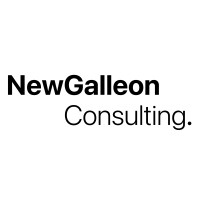 NewGalleon logo - Similar company to Genesis Composicion Sl