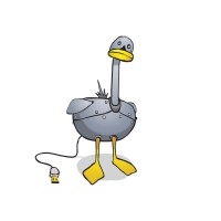 Grey Swan