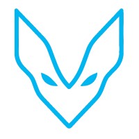 Vidra logo - Similar company to Netrat Information Security