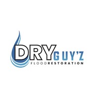 Dry Guyz logo - Similar company to Service Solutions Restoration
