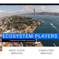 Ecosystem Players