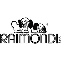 RAIMONDI SPA logo - Similar company to Rubi Group