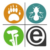 EcoRecord logo - Similar company to Green Angels The Land Trust