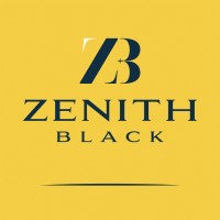 Zenith Black logo - Similar company to Datapraxis