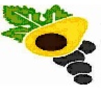 Fundo Los Paltos SAC logo - Similar company to Peruvian Inka Fruit
