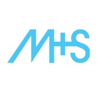 M+S (Methodologies + Solutions) logo - Similar company to Breizhou