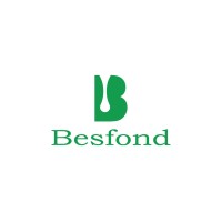 Besfond srl logo - Similar company to Gruppo R