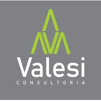 Valesi Consultoria logo - Similar company to Medhubx