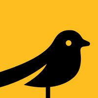 Honeybird Studios logo - Similar company to Projucer