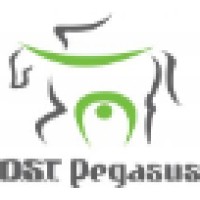D.S.T. Pegasus logo - Similar company to Dsda Dynamic