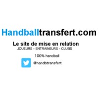 handballtransfert.com logo - Similar company to Phl Immobilier