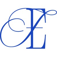 Electric Feel co. logo - Similar company to Modality Group