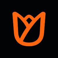 Tulip Wise logo - Similar company to Kleventa