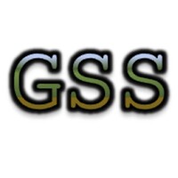 Global Selective Services logo - Similar company to Kavya Management Services