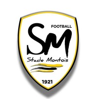 Stade Montois Football logo - Similar company to Sucré Salé