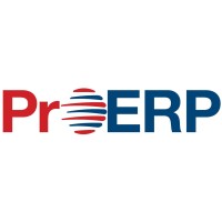 ProERPMinds logo - Similar company to Digitalprosoft