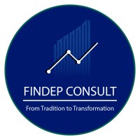 FinDep Consult logo - Similar company to Findep - Cfo As A Service