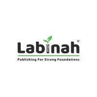 Labinah logo - Similar company to Robocode School