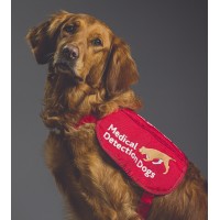 Medical Detection Dogs logo - Similar company to Association Of Pet Behaviour Counsellors (Apbc)