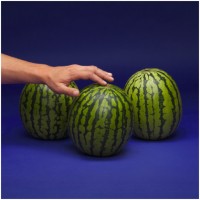 Hillfresh International BV logo - Similar company to Nature'S Pride