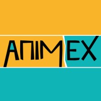 Animex Festival logo - Similar company to Y