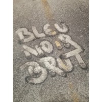Bleu Noir Brut logo - Similar company to Elysta