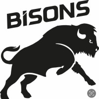 BISONS logo - Similar company to Ce Jour Compte