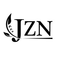 JZN Consultora logo - Similar company to Kaizen2B