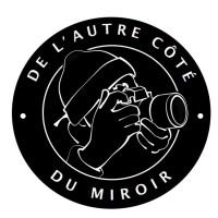 De l'autre côté du miroir logo - Similar company to Esthetic - Auto 37
