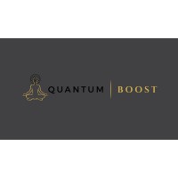 Quantum Boost logo - Similar company to Quantum Boost
