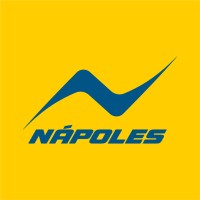 Natación Nápoles logo - Similar company to Olimpus Natación
